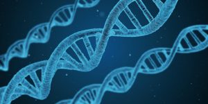 DNA, PR für Healthcare und Technik